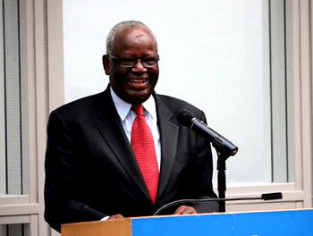 How Ibrahim Gambari runs Aso Villa