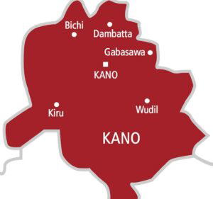 Kano plants two million seedlings to help combat flood, desertification