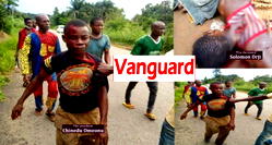 Man kills cousin with cutlass over mango fruits in Abia