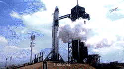 Elon Musk’s SpaceX sends 2 astronauts into space