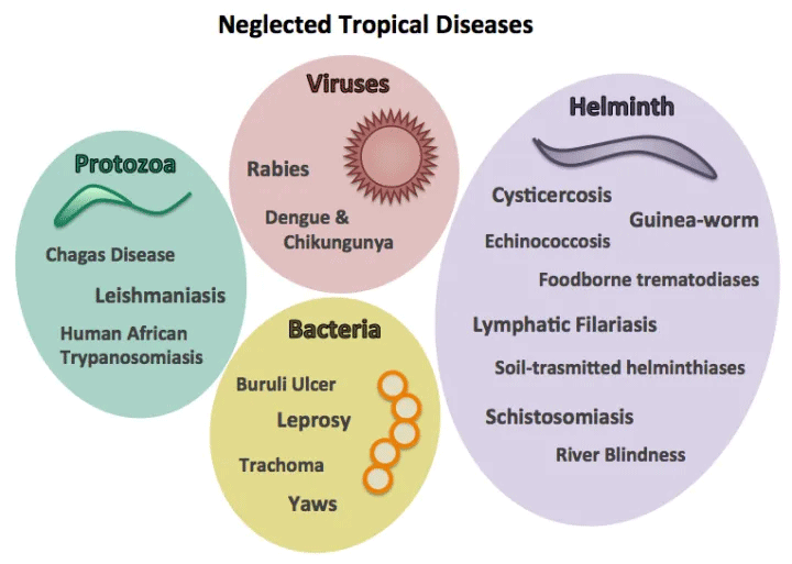 Nigeria requires N154bn to eradicate, control Neglected Tropical Diseases
