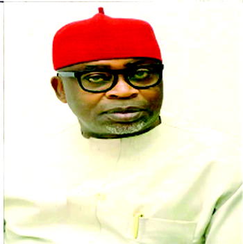 COVID-ORGANICS: FG is chasing shadows – Okechukwu, Reps Deputy Minority Leader