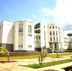 COVID-19: Obasanjo Library puts workers employment on hold till further notice