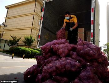 ‘I cried for 3 days, it’s your turn’: Chinese woman sends tonne of onions to ex