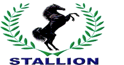 Stallion MG boss extols qualities of HS SUV