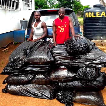 NDLEA arrest man for drug trafficking in Edo