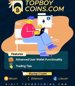 Best Site To Sell Bitcoins For Naira, Best Rates And Fast Payment- Topboycoins