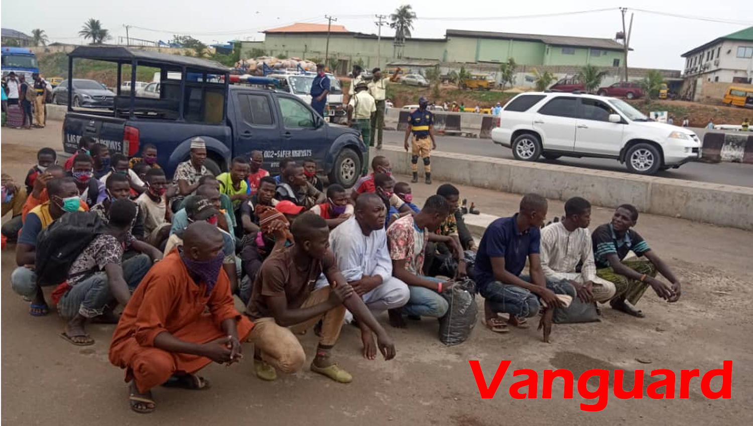 Video, Photos: About 40 People From Zamfara Hidden Amid Cows Arrested ...