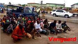 Video, Photos: About 40 people from Zamfara hidden amid cows arrested in Lagos