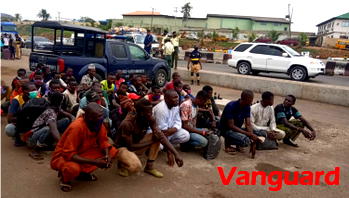 Video, Photos: About 40 people from Zamfara hidden amid cows arrested in Lagos