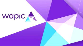 Wapic Insurance grows GWP by 8% in H1’2020