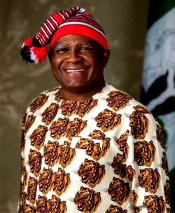 CHIMAROKE NNAMANI @ 60: Champions the rights of women in the Senate