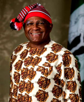 CHIMAROKE NNAMANI @ 60: Champions the rights of women in the Senate