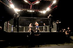 UFC becomes first major sporting event to resume, gets Trump’s praise
