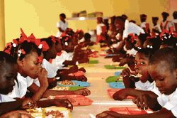 Mixed reactions as FG’s Home Grown Feeding Programme commences despite lockdown