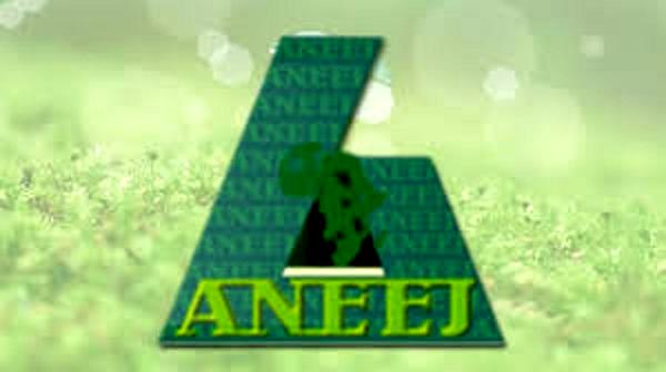 ANEEJ releases performance ranking report of 113 MDAs in 2020