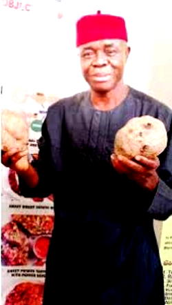 World Food Safety Day 2020: POFAN President tasks farmers on use of chemicals
