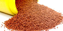 COVID-19: Fish farmers call on FG to subsidize fish feed from N15,000 to N10,000