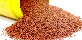COVID-19: Fish farmers call on FG to subsidize fish feed from N15,000 to N10,000