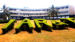 Agric COVID-19 Palliative: 6 States receive 1 tonne of seed each from IAR&T