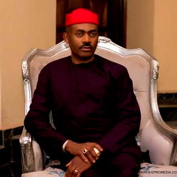 Primary ‘ll determine maturity  of  PDP delegates — Maduka