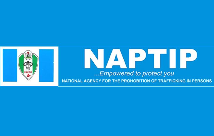 UN appoints NAPTIP’s DG into UNODC board of trustees