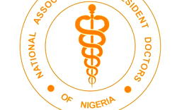 NMA raises alarm over 5-month doctors’ salaries arrears in Abia, Imo, Ekiti, Ondo, Anambra