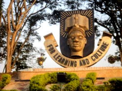 Tegbe’ll ensure stable power supply – OAU, Alumni