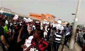 Protesters ask Buhari, Masari to resign over Katsina killings