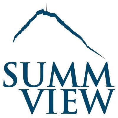 Summview hooks on Rack Centre’s cloud system to expand business in Africa