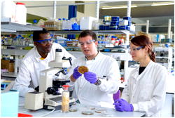 Cranfield University invites Nigerians to apply for postgraduate courses in Water, Energy, Environment