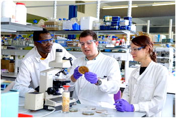 Cranfield University invites Nigerians to apply for postgraduate courses in Water, Energy, Environment