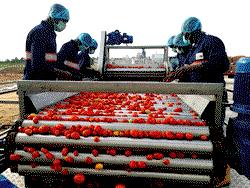 Employers to FG: Manufacturing sector bleeding