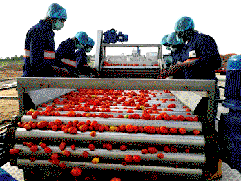 Employers to FG: Manufacturing sector bleeding