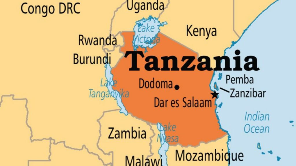 700 die in Tanzania election protests