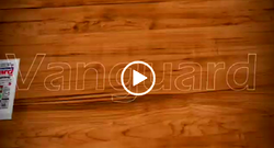 Watch Vanguard news in 60 seconds