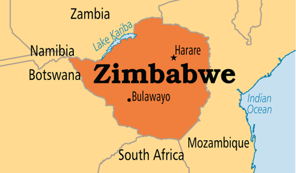 Prominent government critic taken into custody in Zimbabwe