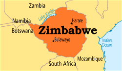 Zimbabwe says malaria prevalence falls 79%