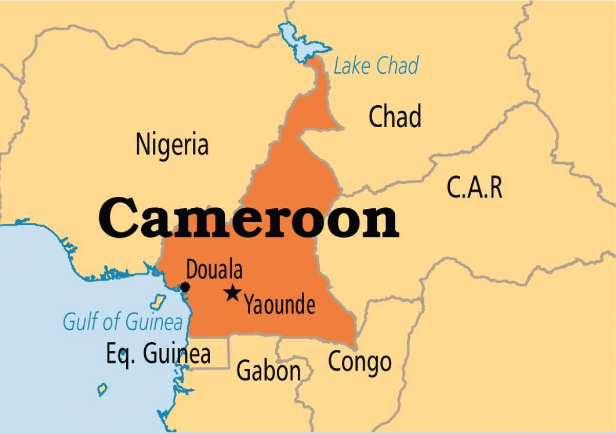 Cameroon government under fire as COVID-19 tally rises