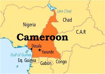 Cameroons separatist group denies plans to attack Nigeria