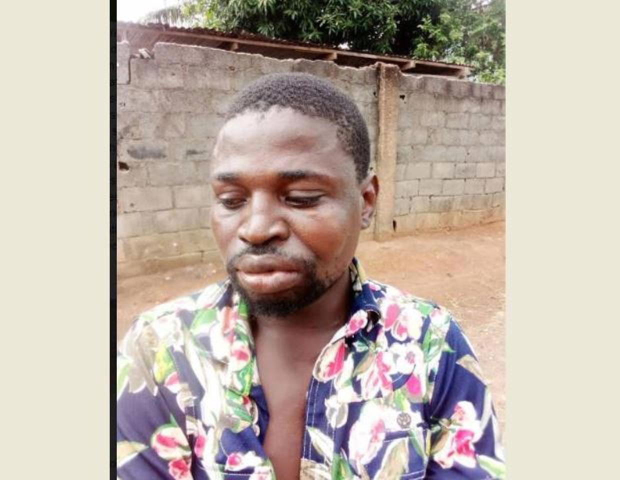 Woman unleashes dogs on tricyclist over N3,500