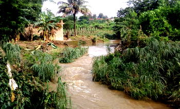 Eleven from one family drown in flash flood in Panama