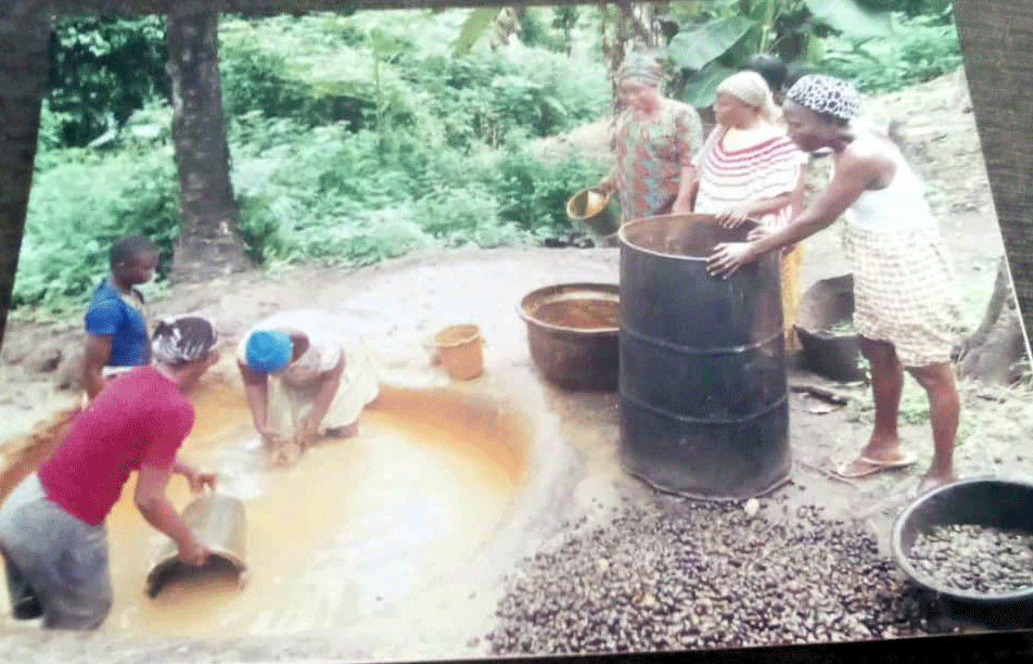 When Agbeloba women joined hands, they mechanised palm oil production