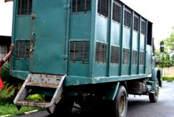 Plateau: Armed men ambush Correctional Service convoy, free four suspects