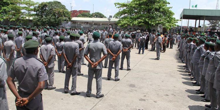 Customs impound donkey hides, charcoal worth N644m