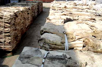 Agric ministry give reasons for seizing of donkey skin in Nigeria