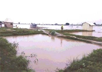 Two communities submerged by flood in Niger State