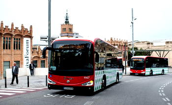 French bus driver brain dead after assault for refusing maskless riders
