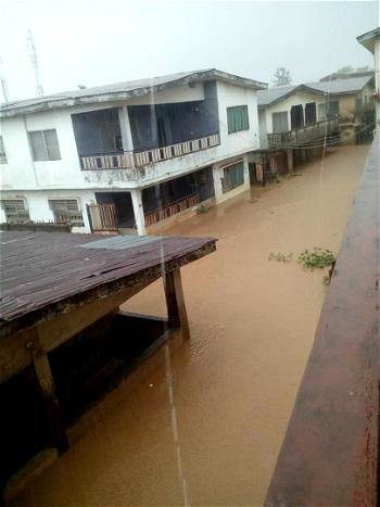 Flood takes over Abeokuta roads, as residents count loses