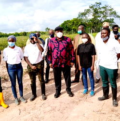 Deputy Governor extols virtues of two Kwara youths on agriculture initiatives